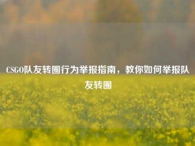 CSGO队友转圈行为举报指南，教你如何举报队友转圈