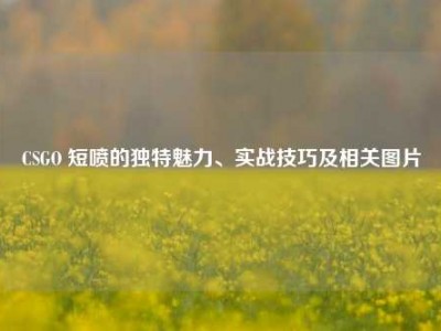 CSGO 短喷的独特魅力、实战技巧及相关图片