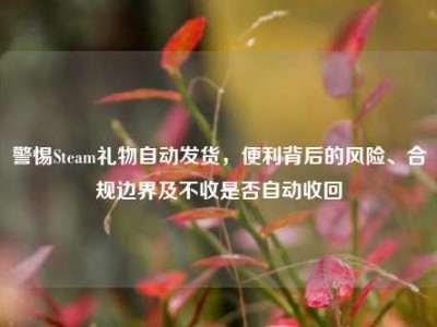 警惕Steam礼物自动发货，便利背后的风险、合规边界及不收是否自动收回