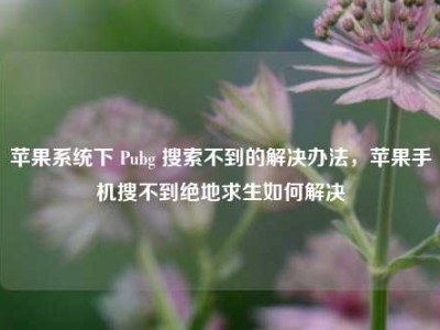 苹果系统下 Pubg 搜索不到的解决办法，苹果手机搜不到绝地求生如何解决