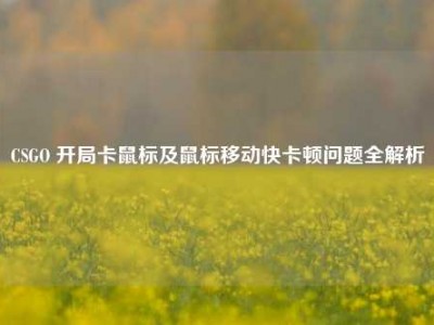 CSGO 开局卡鼠标及鼠标移动快卡顿问题全解析