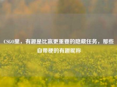 CSGO里，有趣是比赢更重要的隐藏任务，那些自带梗的有趣昵称