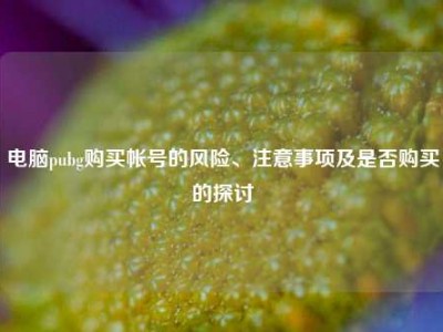 电脑pubg购买帐号的风险、注意事项及是否购买的探讨