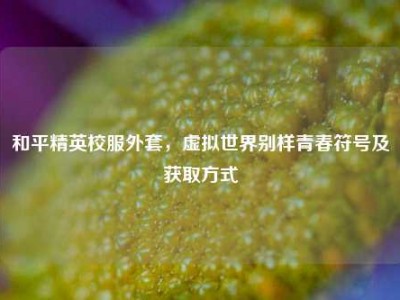 和平精英校服外套，虚拟世界别样青春符号及获取方式