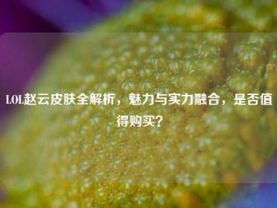 LOL赵云皮肤全解析，魅力与实力融合，是否值得购买？