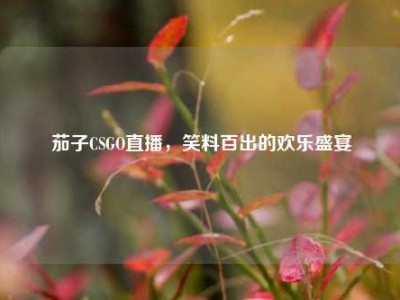 茄子CSGO直播，笑料百出的欢乐盛宴