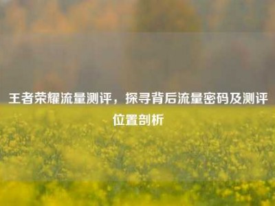 王者荣耀流量测评，探寻背后流量密码及测评位置剖析