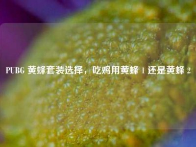 PUBG 黄蜂套装选择，吃鸡用黄蜂 1 还是黄蜂 2