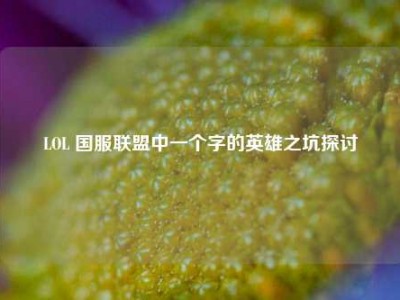 LOL 国服联盟中一个字的英雄之坑探讨