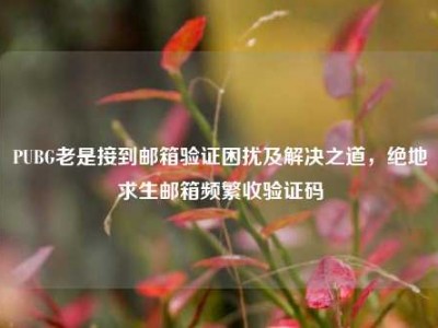 PUBG老是接到邮箱验证困扰及解决之道，绝地求生邮箱频繁收验证码