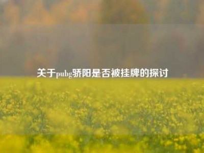 关于pubg骄阳是否被挂牌的探讨