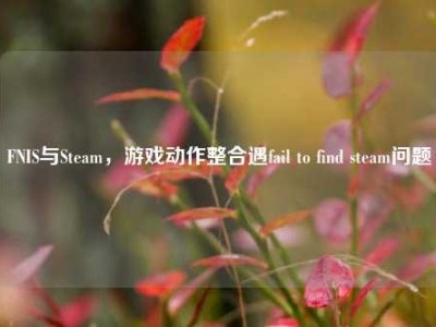 FNIS与Steam，游戏动作整合遇fail to find steam问题