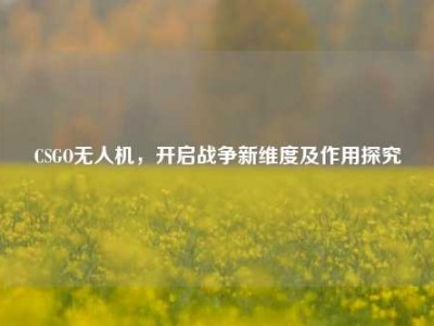 CSGO无人机，开启战争新维度及作用探究