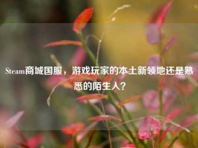 Steam商城国服，游戏玩家的本土新领地还是熟悉的陌生人？