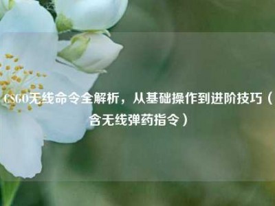 CSGO无线命令全解析，从基础操作到进阶技巧（含无线弹药指令）
