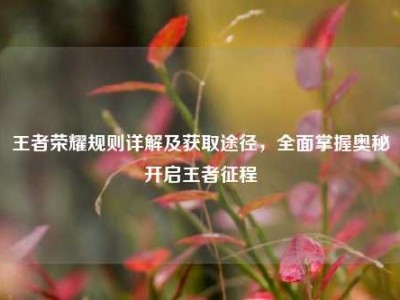 王者荣耀规则详解及获取途径，全面掌握奥秘开启王者征程