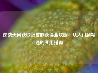 逆战天网获取及皮肤获得全攻略，从入门到精通的实用指南