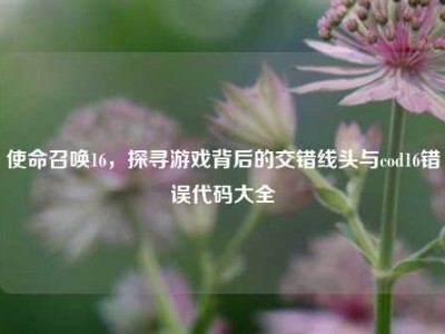 使命召唤16，探寻游戏背后的交错线头与cod16错误代码大全