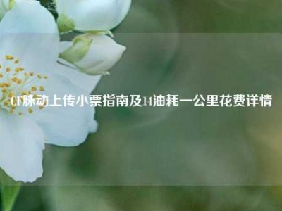 CF脉动上传小票指南及14油耗一公里花费详情
