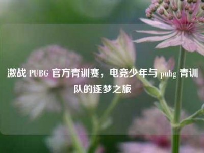 激战 PUBG 官方青训赛，电竞少年与 pubg 青训队的逐梦之旅