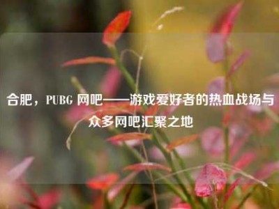 合肥，PUBG 网吧——游戏爱好者的热血战场与众多网吧汇聚之地