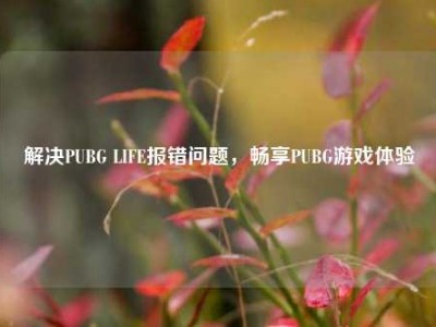 解决PUBG LIFE报错问题，畅享PUBG游戏体验