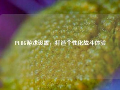 PUBG游戏设置，打造个性化战斗体验
