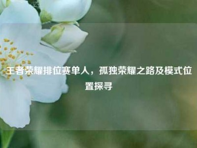 王者荣耀排位赛单人，孤独荣耀之路及模式位置探寻