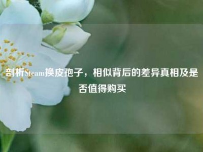 剖析Steam换皮孢子，相似背后的差异真相及是否值得购买