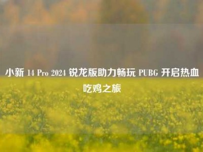 小新 14 Pro 2024 锐龙版助力畅玩 PUBG 开启热血吃鸡之旅