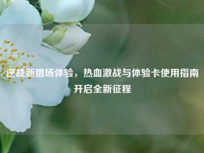 逆战新猎场体验，热血激战与体验卡使用指南开启全新征程