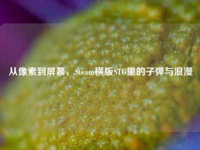 从像素到屏幕，Steam横版STG里的子弹与浪漫