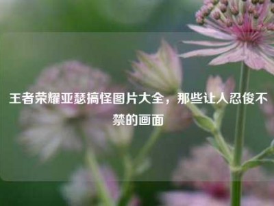 王者荣耀亚瑟搞怪图片大全，那些让人忍俊不禁的画面