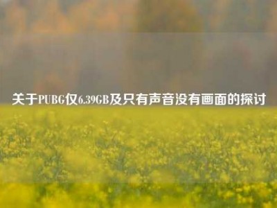 关于PUBG仅6.39GB及只有声音没有画面的探讨