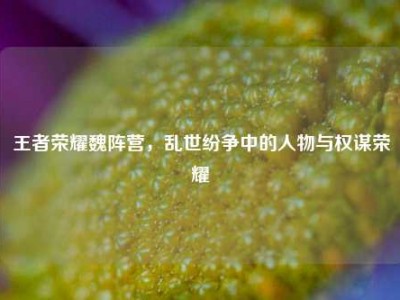 王者荣耀魏阵营，乱世纷争中的人物与权谋荣耀