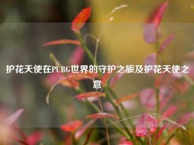 护花天使在PUBG世界的守护之旅及护花天使之意