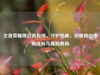 王者荣耀周边真假辨，守护热爱，识破周边市场迷局与真假查询