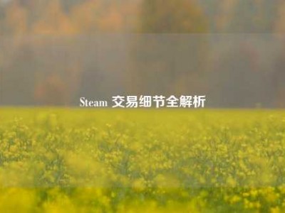 Steam 交易细节全解析