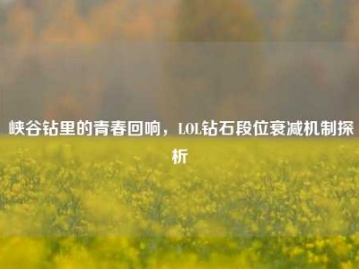 峡谷钻里的青春回响，LOL钻石段位衰减机制探析