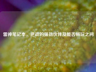 雷神笔记本，逆战的强劲伙伴及能否畅玩之问