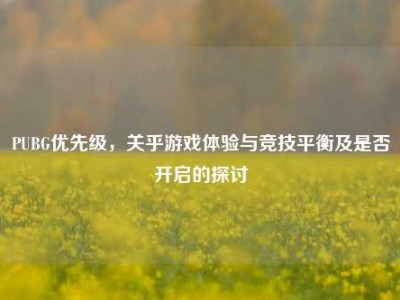 PUBG优先级，关乎游戏体验与竞技平衡及是否开启的探讨