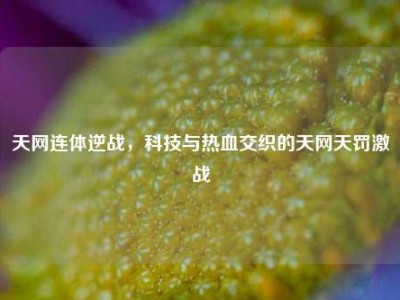 天网连体逆战，科技与热血交织的天网天罚激战