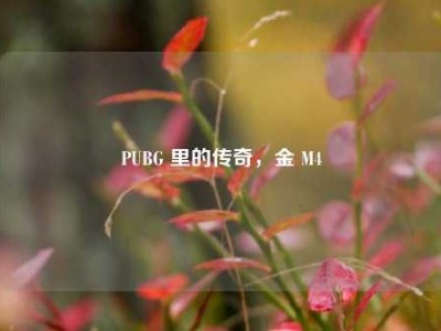 PUBG 里的传奇，金 M4