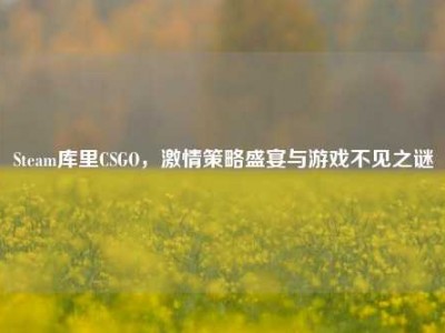 Steam库里CSGO，激情策略盛宴与游戏不见之谜