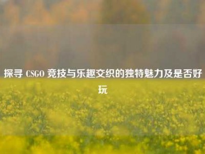 探寻 CSGO 竞技与乐趣交织的独特魅力及是否好玩