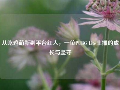 从吃鸡萌新到平台红人，一位PUBG Lite主播的成长与坚守