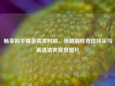 畅享和平精英清爽时刻，领略别样竞技风采与高清清爽背景图片