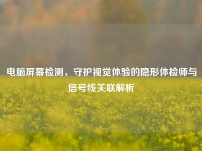 电脑屏幕检测，守护视觉体验的隐形体检师与信号线关联解析