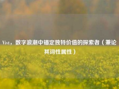 Vivt，数字浪潮中锚定独特价值的探索者（兼论其词性属性）