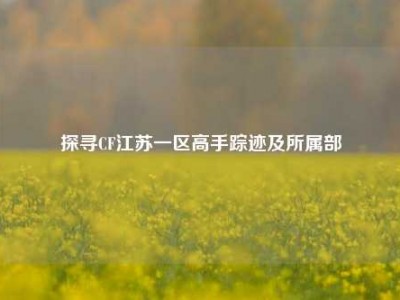 探寻CF江苏一区高手踪迹及所属部